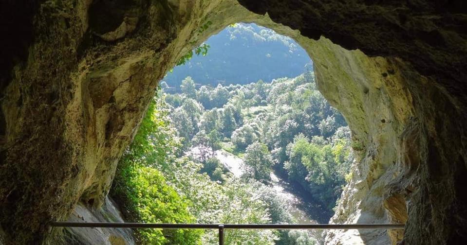 L'échappée au jardin, yourte bucolique Godinne Exterior foto